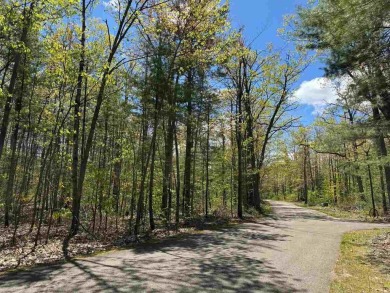 Lake Lot For Sale in Gaylord, Michigan