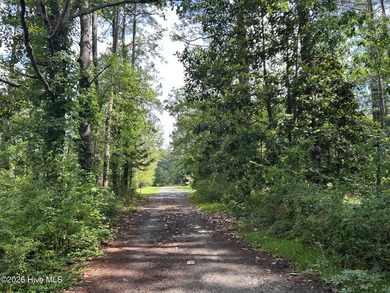Peaceful .78-acre property just 1 mile from the town of - photo 2