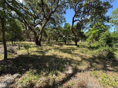 (private lake, pond, creek) Lot For Sale in Dade City Florida