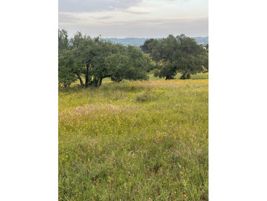 This corner lot is perfect for your dream home. It sits high and - photo 1