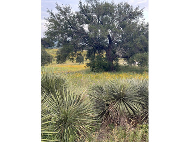 This corner lot is perfect for your dream home. It sits high and - photo 2