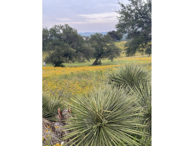 This corner lot is perfect for your dream home. It sits high and - photo 3