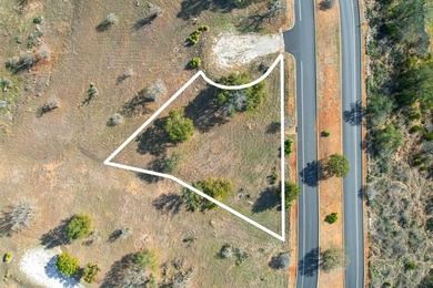 This corner lot is perfect for your dream home. It sits high and - photo 9