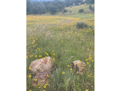This corner lot is perfect for your dream home. It sits high and - photo 10