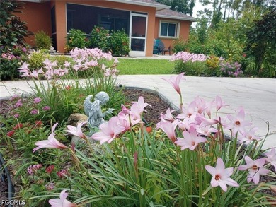 Beautiful, very well maintained house in the heart of the Lehigh - photo 13