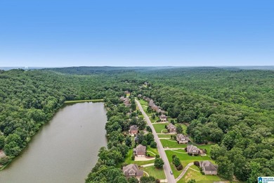 Enjoy stunning LAKEFRONT and mountainside views from the kitchen - photo 47