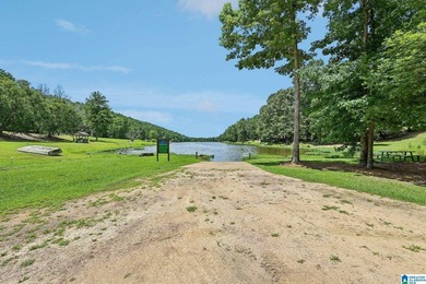 Enjoy stunning LAKEFRONT and mountainside views from the kitchen - photo 49