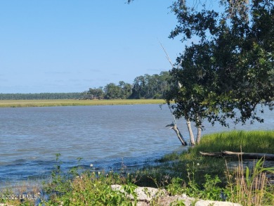 Lake Lot Sale Pending in Seabrook, South Carolina