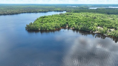 Experience waterfront living on Long Lake, part of the renowned - photo 17