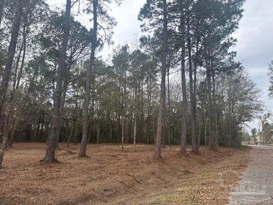 Blackwater River Lot For Sale in Milton Florida