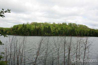 County Line Lake Acreage For Sale in Watersmeet Michigan