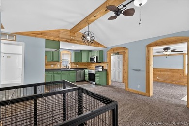 Charming 3-bedroom, 2-bath home located near the Lake of the - photo 12