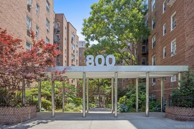New to Market at 800 Grand Concourse! A bright, south-facing - photo 17