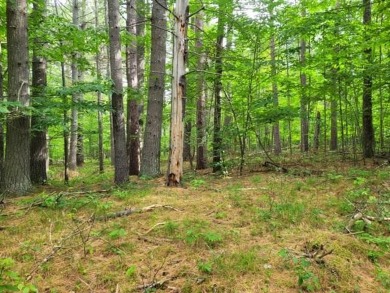 Ausable River Lot For Sale in Jay New York