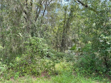 AWESOME LAKE FRONT PROPERTY ON A BIT MORE THAN 1/2 ACRE (0.52 - photo 11