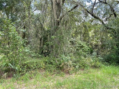 AWESOME LAKE FRONT PROPERTY ON A BIT MORE THAN 1/2 ACRE (0.52 - photo 12
