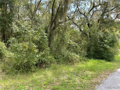 AWESOME LAKE FRONT PROPERTY ON A BIT MORE THAN 1/2 ACRE (0.52 - photo 13