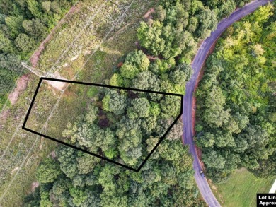 Prime 0.99-Acre Lot with Cherokee Lake Access - Lake Lot For Sale in Rutledge, Tennessee