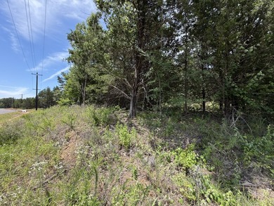 Build your dream home on this beautiful treed lot in the - photo 6