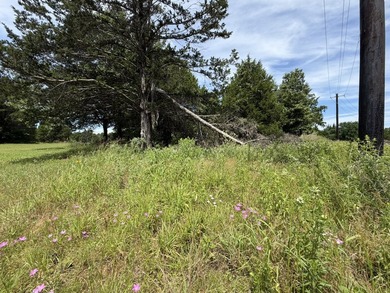 Build your dream home on this beautiful treed lot in the - photo 7