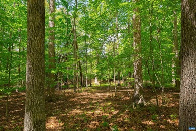 Premium lot in the esteemed Keswick Estate community located - photo 2