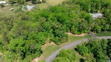 Premium lot in the esteemed Keswick Estate community located - photo 3