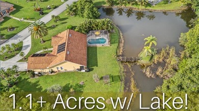 Lake Home For Sale in Bonita Springs, Florida