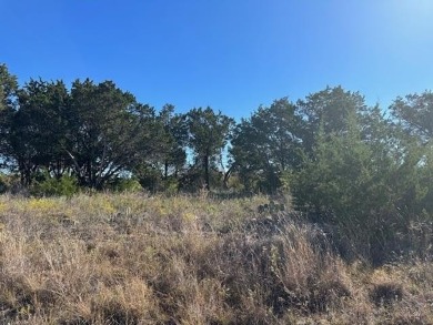 This five acre lot in The Hills Above Possum Kingdom is on level - photo 3
