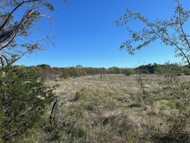 This five acre lot in The Hills Above Possum Kingdom is on level - photo 5
