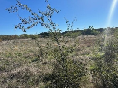 This five acre lot in The Hills Above Possum Kingdom is on level - photo 6