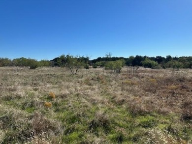 This five acre lot in The Hills Above Possum Kingdom is on level - photo 7