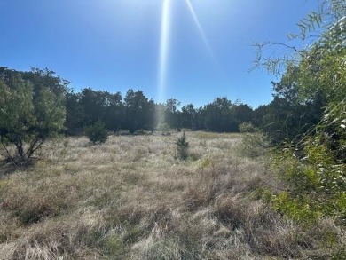 This five acre lot in The Hills Above Possum Kingdom is on level - photo 9