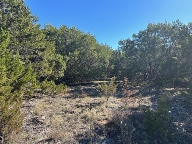 This five acre lot in The Hills Above Possum Kingdom is on level - photo 10