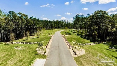 Lot 87 on Pine Preserve Ln offers a rare, high-and-dry 3.77-acre - photo 14