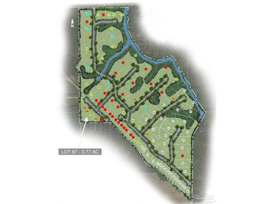 Lot 87 on Pine Preserve Ln offers a rare, high-and-dry 3.77-acre - photo 17