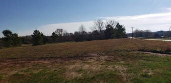 DAISY CUTTER at MOTLOW FARMS is the newest 8 lot neighborhood of - Lake Acreage For Sale in Campobello, South Carolina