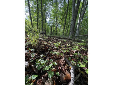 Lake Lot For Sale in East Jordan, Michigan