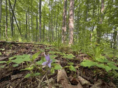 Lake Lot For Sale in East Jordan, Michigan