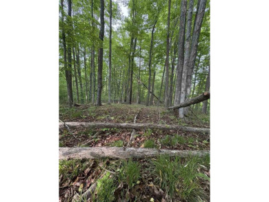 Lake Lot For Sale in East Jordan, Michigan