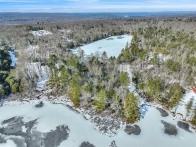 Lake Acreage For Sale in Sullivan, New York