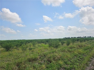 Discover the potential of this beautiful 22.86-acre tract - photo 1