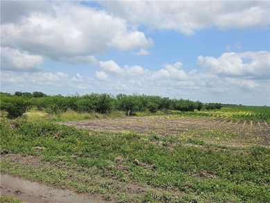 Discover the potential of this beautiful 22.86-acre tract - photo 5