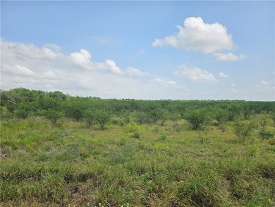 Discover the potential of this beautiful 22.86-acre tract - photo 6