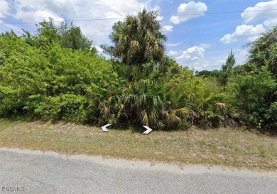 Lehigh Acres Area Lot For Sale in Lehigh Acres Florida
