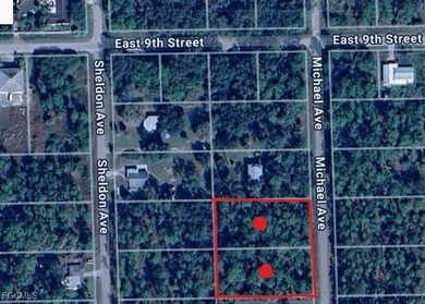 Lehigh Acres Area Lot For Sale in Lehigh Acres Florida