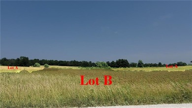 (private lake, pond, creek) Acreage For Sale in Freeman Missouri