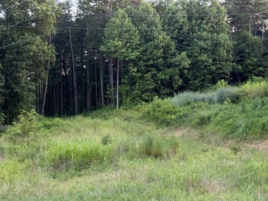 Land is ready for your future home or getaway! This conveniently - photo 1