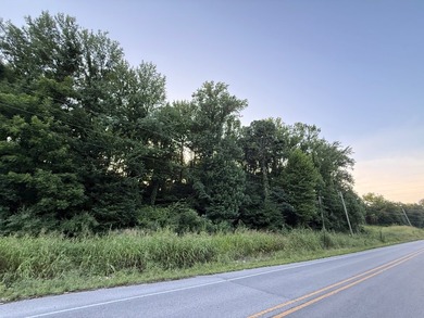 Land is ready for your future home or getaway! This conveniently - photo 4