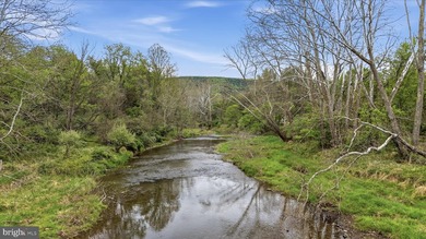 NEW PRICE ON THREE RIVERFRONT ACRES! Get away from it all only - photo 25