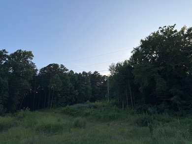 Land is ready for your future home or getaway! This conveniently - photo 6